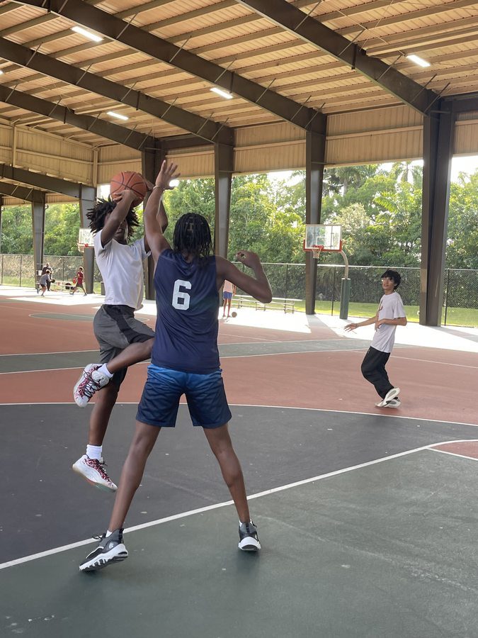 Hoop College training